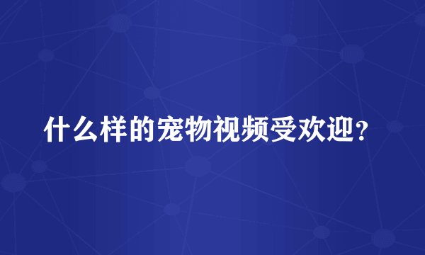 什么样的宠物视频受欢迎？