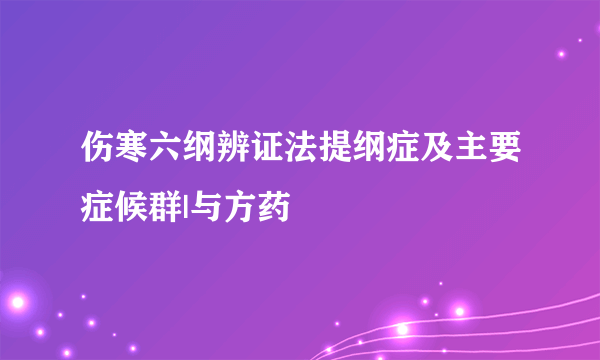 伤寒六纲辨证法提纲症及主要症候群|与方药