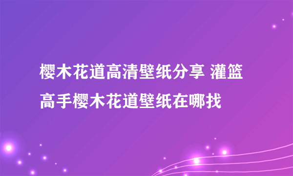 樱木花道高清壁纸分享 灌篮高手樱木花道壁纸在哪找