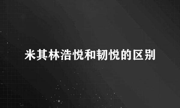 米其林浩悦和韧悦的区别