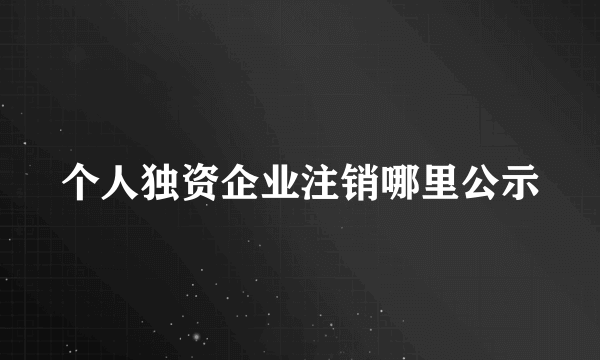 个人独资企业注销哪里公示