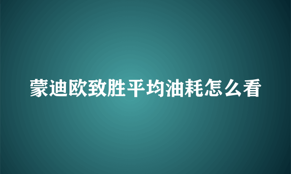 蒙迪欧致胜平均油耗怎么看