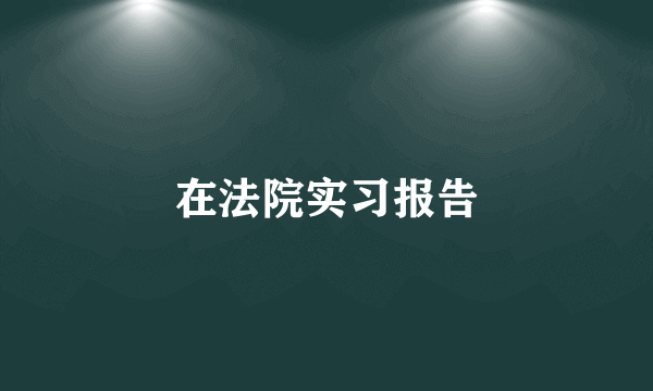 在法院实习报告