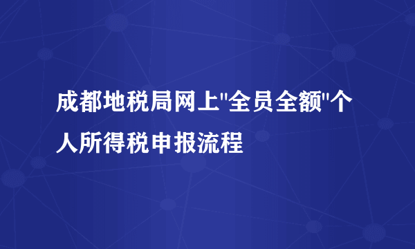 成都地税局网上