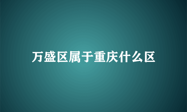 万盛区属于重庆什么区