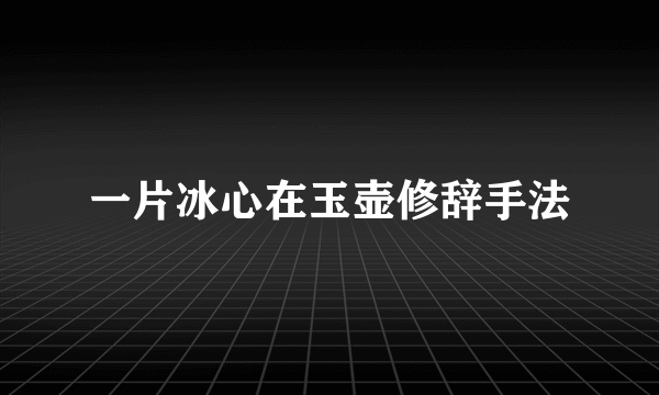 一片冰心在玉壶修辞手法