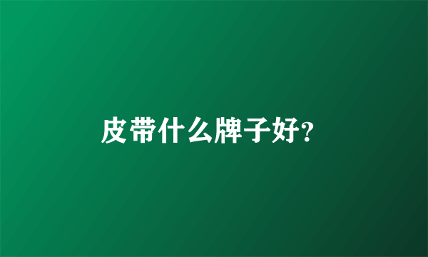 皮带什么牌子好？