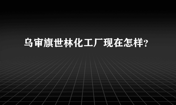 乌审旗世林化工厂现在怎样？