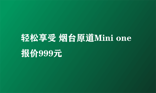 轻松享受 烟台原道Mini one报价999元