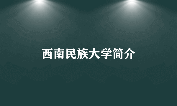 西南民族大学简介