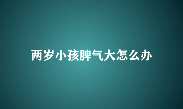 两岁小孩脾气大怎么办