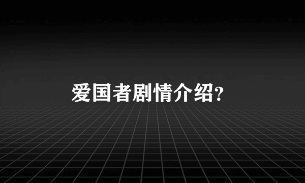 爱国者剧情介绍？