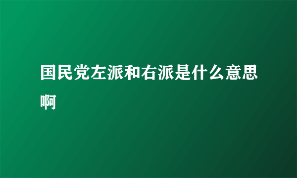 国民党左派和右派是什么意思啊