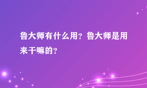 鲁大师有什么用？鲁大师是用来干嘛的？