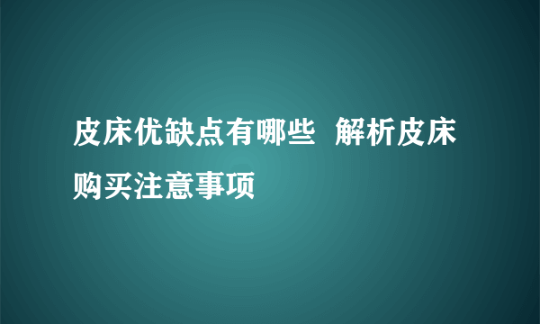 皮床优缺点有哪些  解析皮床购买注意事项