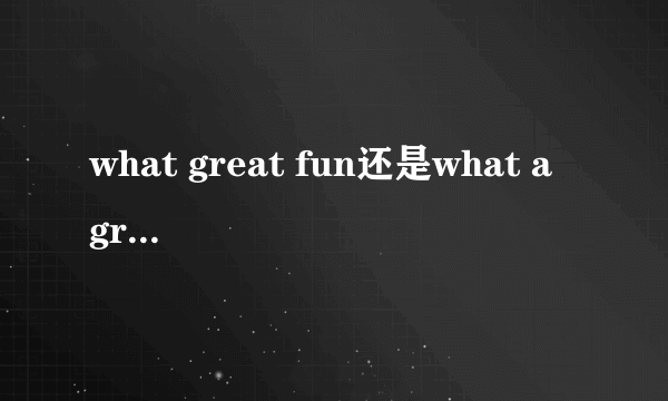 what great fun还是what a great fun