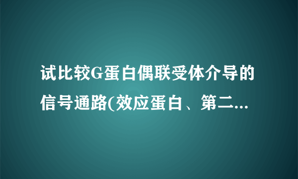 试比较G蛋白偶联受体介导的信号通路(效应蛋白、第二信使、生物学功能)。 请帮忙给出正确答案和分析，谢谢！