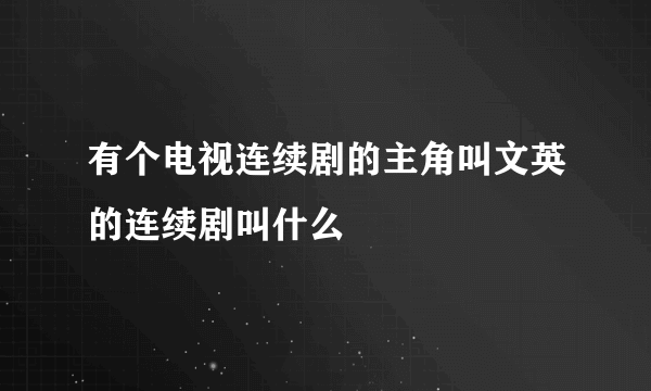 有个电视连续剧的主角叫文英的连续剧叫什么