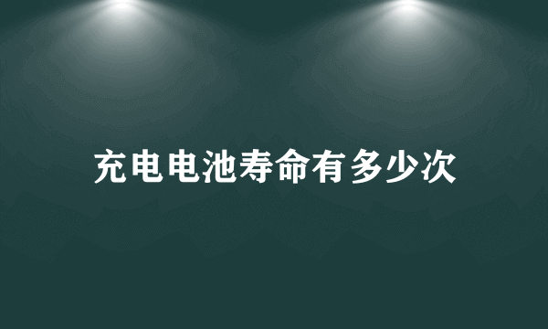 充电电池寿命有多少次