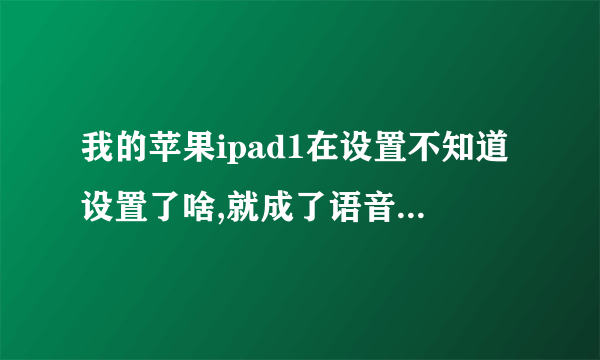 我的苹果ipad1在设置不知道设置了啥,就成了语音方式,怎么就打不开屏幕了,什么