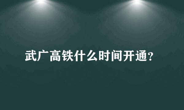 武广高铁什么时间开通？