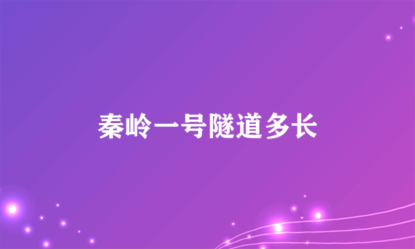 秦岭一号隧道多长