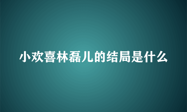 小欢喜林磊儿的结局是什么