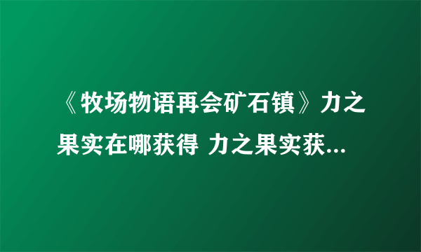 《牧场物语再会矿石镇》力之果实在哪获得 力之果实获取位置分享