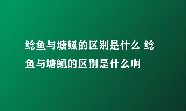 鲶鱼与塘鲺的区别是什么 鲶鱼与塘鲺的区别是什么啊