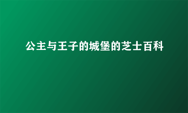 公主与王子的城堡的芝士百科