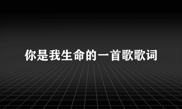 你是我生命的一首歌歌词