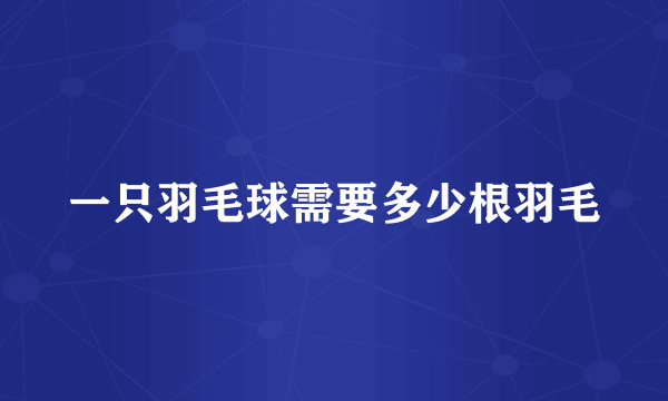 一只羽毛球需要多少根羽毛