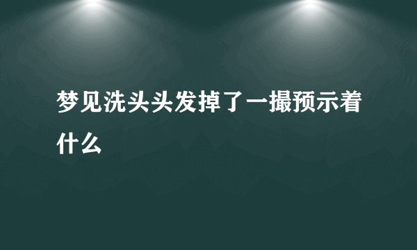 梦见洗头头发掉了一撮预示着什么