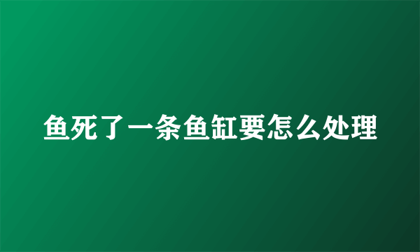 鱼死了一条鱼缸要怎么处理