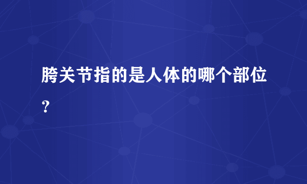 胯关节指的是人体的哪个部位？