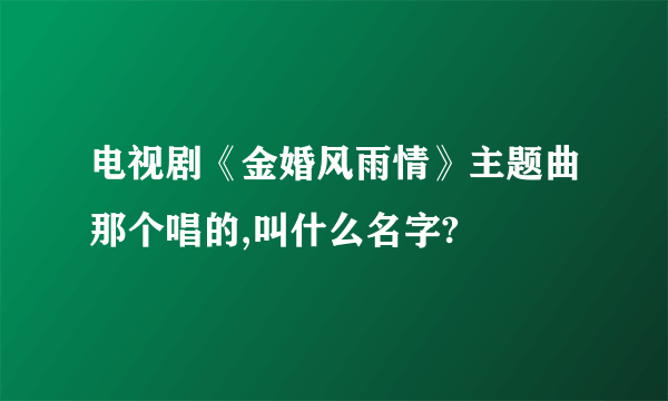 电视剧《金婚风雨情》主题曲那个唱的,叫什么名字?