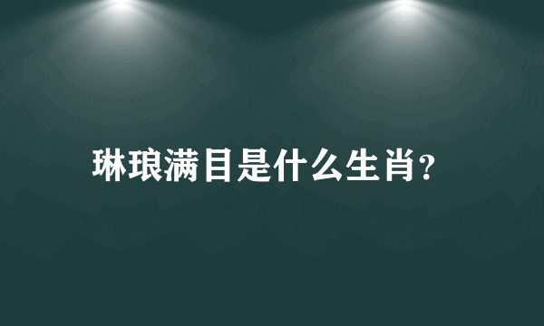 琳琅满目是什么生肖？