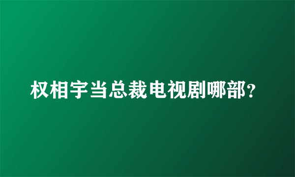 权相宇当总裁电视剧哪部？