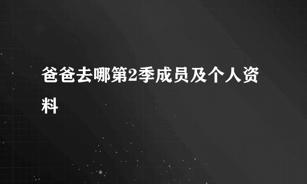 爸爸去哪第2季成员及个人资料