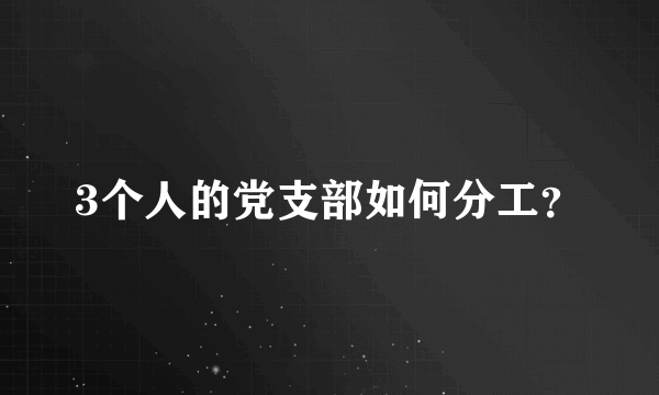 3个人的党支部如何分工？