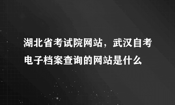 湖北省考试院网站，武汉自考电子档案查询的网站是什么