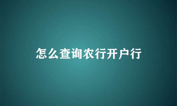 怎么查询农行开户行