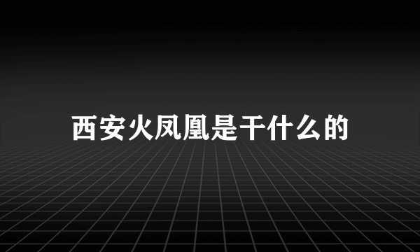 西安火凤凰是干什么的