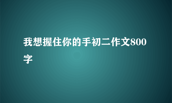 我想握住你的手初二作文800字