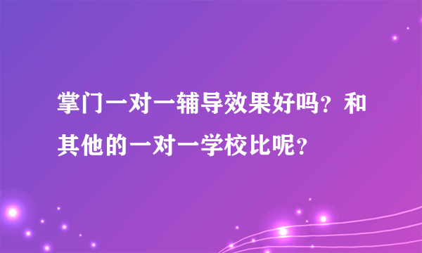 掌门一对一辅导效果好吗？和其他的一对一学校比呢？