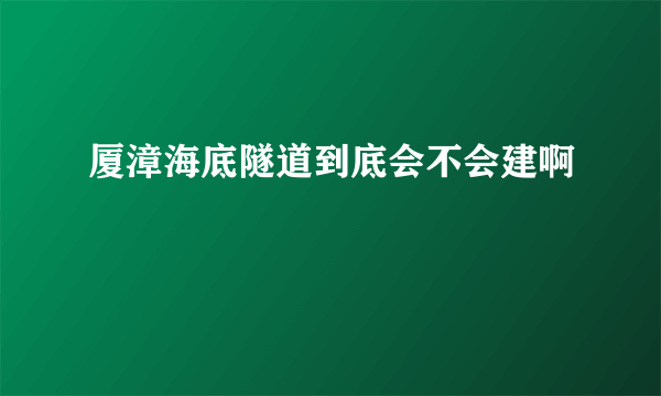 厦漳海底隧道到底会不会建啊