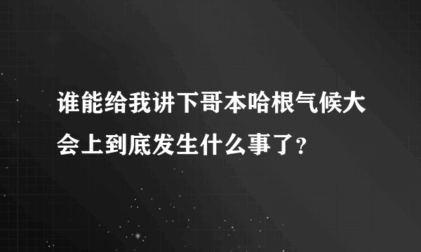 谁能给我讲下哥本哈根气候大会上到底发生什么事了？