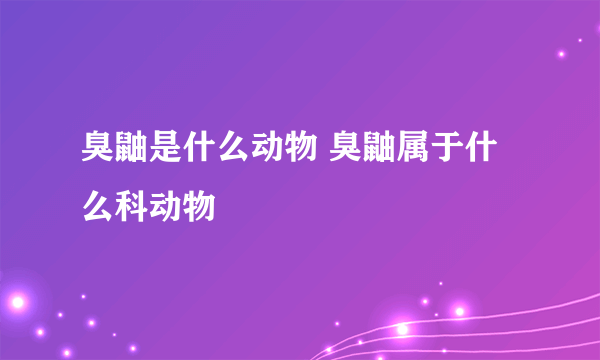 臭鼬是什么动物 臭鼬属于什么科动物