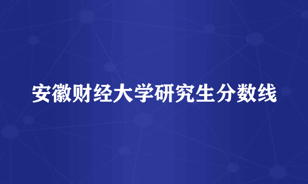 安徽财经大学研究生分数线