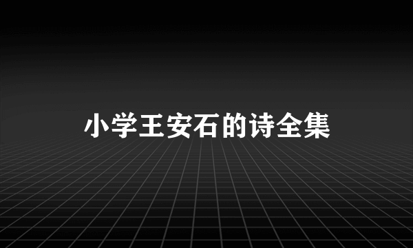 小学王安石的诗全集